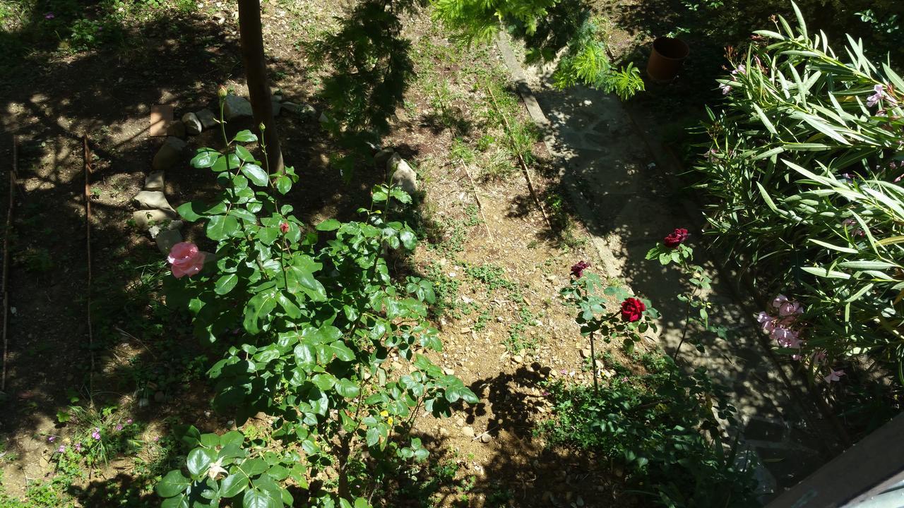 La Villa Nei Fiori Florenţa Exterior foto